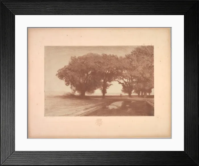 Framed Print : Suite de Paysages: Landscape, Plate 8, Remarque, Pansies, 1892-1893. Creator: Charles Marie Dulac Framed Print : Suite de Paysages: Landscape, Plate 8, Remarque, Pansies, 1892-1893. Creator: Charles Marie Dulac