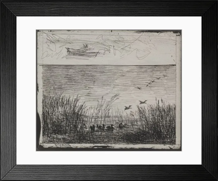 Framed Print : Swamp with Ducks, original impression 1862, printed in 1921 Framed Print : Swamp with Ducks, original impression 1862, printed in 1921