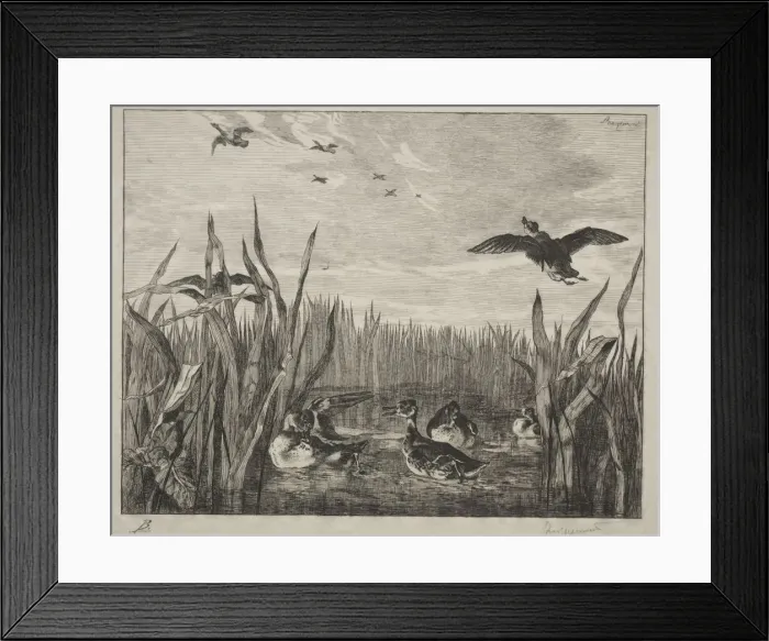 Framed Print : Teal, 1853. Creator: Felix Bracquemond (French, 1833-1914)