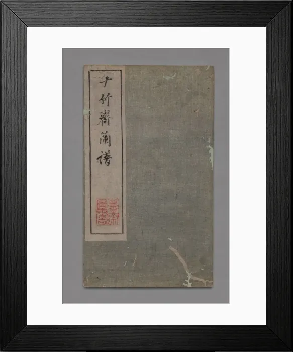 Framed Print : Ten Bamboo Studio Painting and Calligraphy Handbook (Shizhuzhai shuhua pu): Orchids, 1675-1800 Framed Print : Ten Bamboo Studio Painting and Calligraphy Handbook (Shizhuzhai shuhua pu): Orchids, 1675-1800