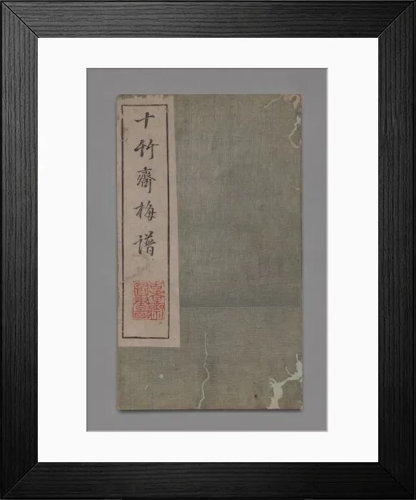 Framed Print : Ten Bamboo Studio Painting and Calligraphy Handbook (Shizhuzhai shuhua pu): Plum Blossoms Framed Print : Ten Bamboo Studio Painting and Calligraphy Handbook (Shizhuzhai shuhua pu): Plum Blossoms