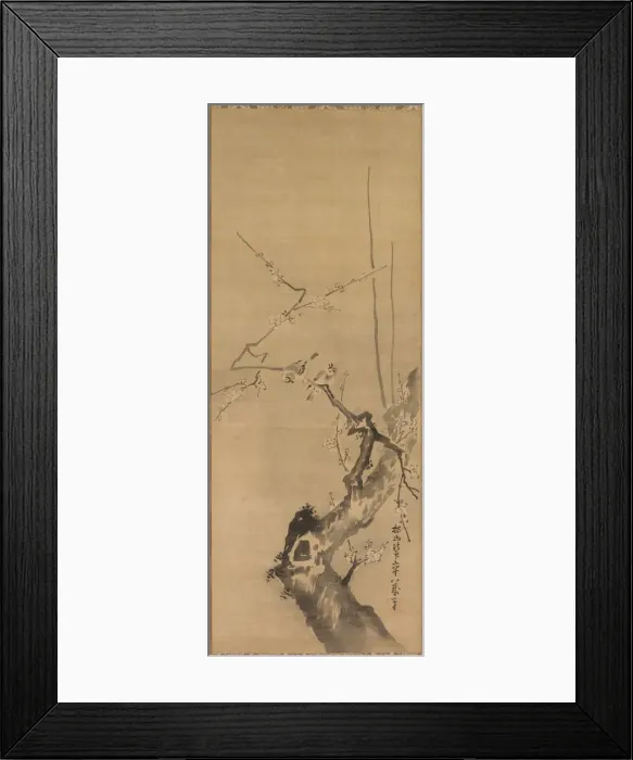 Framed Print : Sparrows on Blossoming Plum, 17th century. Creator: Kano Tan?y? (Japanese, 1602-1674) Framed Print : Sparrows on Blossoming Plum, 17th century. Creator: Kano Tan?y? (Japanese, 1602-1674)