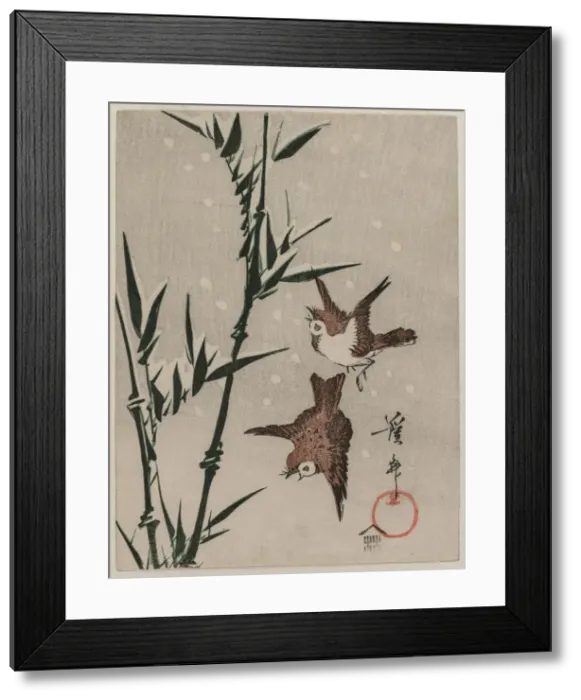 Framed Print : Sparrows, Bamboo and Falling Snow, c. late 1820s. Creator: Keisai Eisen (Japanese, 1790-1848) Framed Print : Sparrows, Bamboo and Falling Snow, c. late 1820s. Creator: Keisai Eisen (Japanese, 1790-1848)