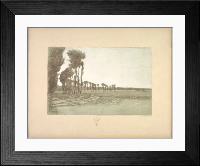 Framed Print : Suite de Paysages: Landscape, Plate 5, Remarque, Three Stalks of Wheat, 1892-1893 Framed Print : Suite de Paysages: Landscape, Plate 5, Remarque, Three Stalks of Wheat, 1892-1893