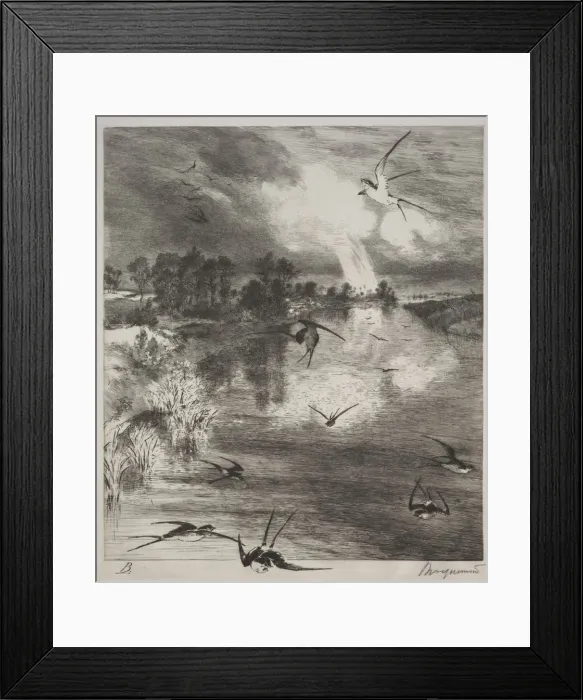 Framed Print : Swallows, 1882. Creator: Felix Bracquemond (French, 1833-1914) Framed Print : Swallows, 1882. Creator: Felix Bracquemond (French, 1833-1914)