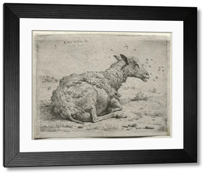 Framed Print : The Sheep and the Flies. Creator: Karel Dujardin (Dutch, c. 1622-1678) Framed Print : The Sheep and the Flies. Creator: Karel Dujardin (Dutch, c. 1622-1678)