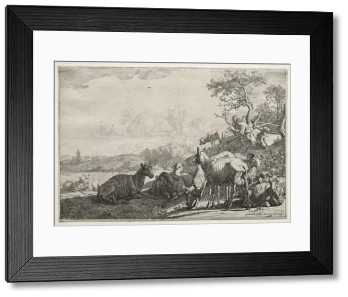 Framed Print : The Shepherd, 1644. Creator: Paulus Potter (Dutch, 1625-1654) Framed Print : The Shepherd, 1644. Creator: Paulus Potter (Dutch, 1625-1654)