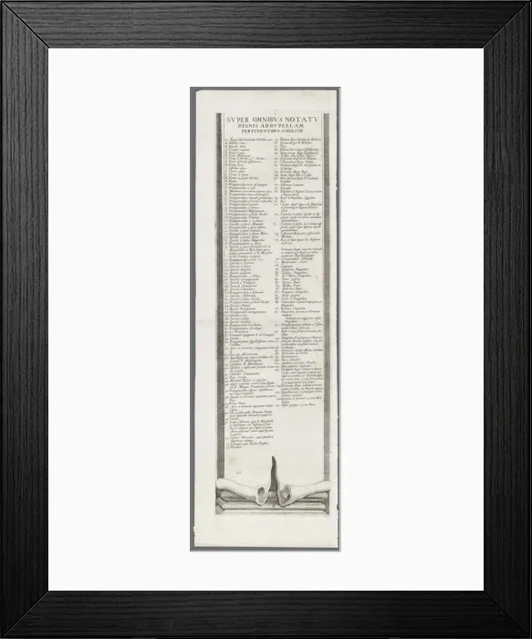 Framed Print : The Siege of La Rochelle: Plate 13, 1628-1630. Creator: Jacques Callot (French, 1592-1635) Framed Print : The Siege of La Rochelle: Plate 13, 1628-1630. Creator: Jacques Callot (French, 1592-1635)