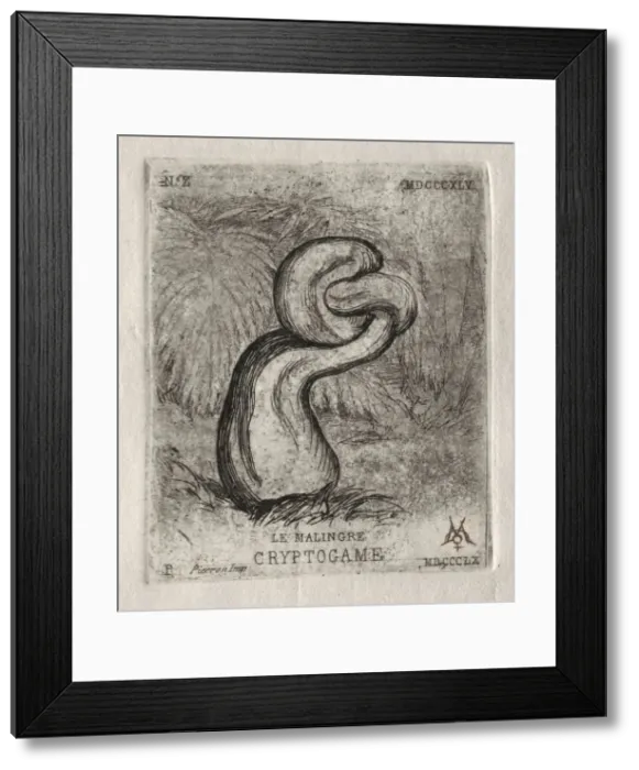 Framed Print : The Sickly Cryptogam, 1860. Creator: Charles Meryon (French, 1821-1868) Framed Print : The Sickly Cryptogam, 1860. Creator: Charles Meryon (French, 1821-1868)