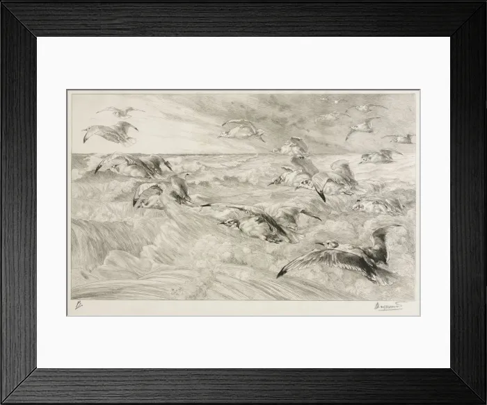 Framed Print : The Seagulls, c. 1880. Creator: Felix Bracquemond (French, 1833-1914) Framed Print : The Seagulls, c. 1880. Creator: Felix Bracquemond (French, 1833-1914)