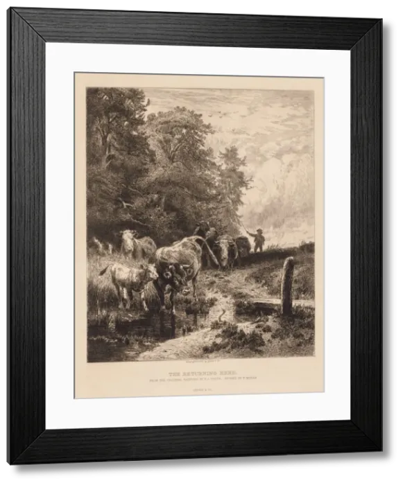 Framed Print : The Returning Herd, c. 1885. Creator: Peter Moran (American, 1841-1914) Framed Print : The Returning Herd, c. 1885. Creator: Peter Moran (American, 1841-1914)
