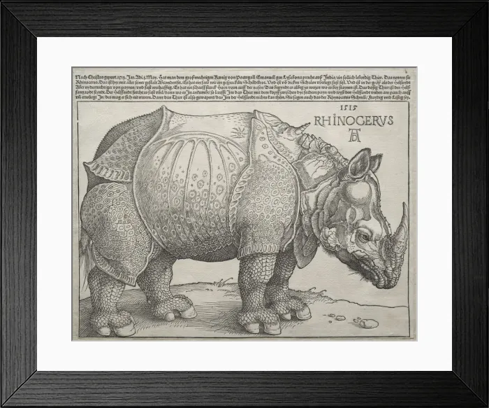 Framed Print : The Rhinoceros, 1515. Creator: Albrecht Dürer (German, 1471-1528) Framed Print : The Rhinoceros, 1515. Creator: Albrecht Dürer (German, 1471-1528)