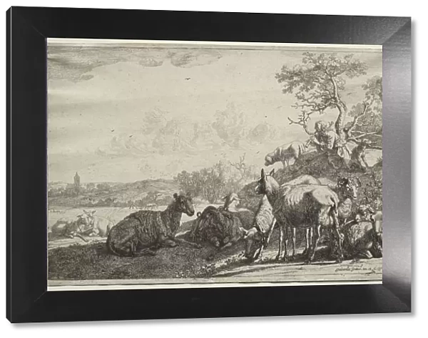 The Shepherd, 1644. Creator: Paulus Potter (Dutch, 1625-1654)