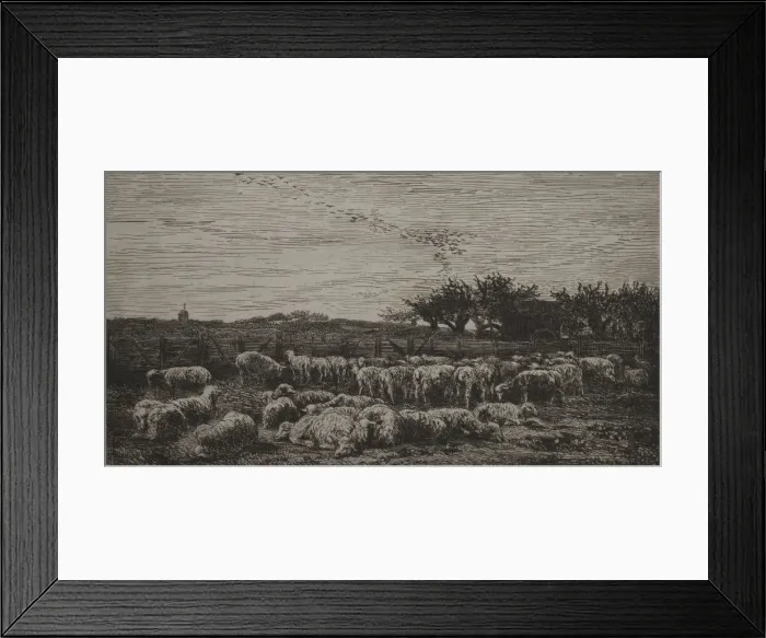 Framed Print : The Large Sheep-Fold, 1860. Creator: Charles Francois Daubigny (French, 1817-1878); Cadart Framed Print : The Large Sheep-Fold, 1860. Creator: Charles Francois Daubigny (French, 1817-1878); Cadart