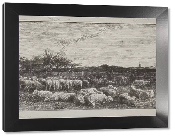 The Large Sheepfold, original impression 1862, printed in 1921
