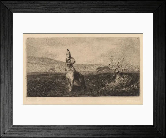 Framed Print : The Hare (Le Lievre), 1865. Creator: Felix Bracquemond (French, 1833-1914)