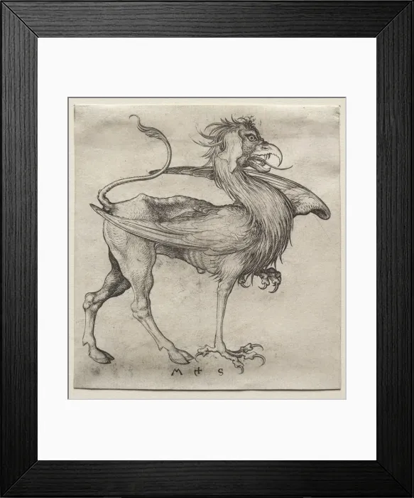 Framed Print : The Griffin, 1400s. Creator: Martin Schongauer (German, c. 1450-1491) Framed Print : The Griffin, 1400s. Creator: Martin Schongauer (German, c. 1450-1491)