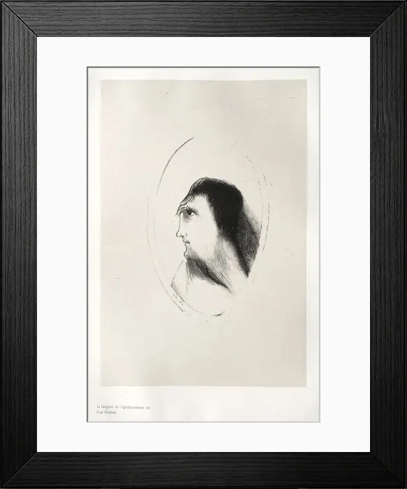 Framed Print : The Haunted House: The Width and Flatness of [the] Frontal [Bone], 1896. Creator: Odilon Redon