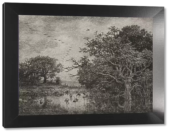 The Marsh with Storks, c. 1851. Creator: Charles Francois Daubigny (French, 1817-1878)