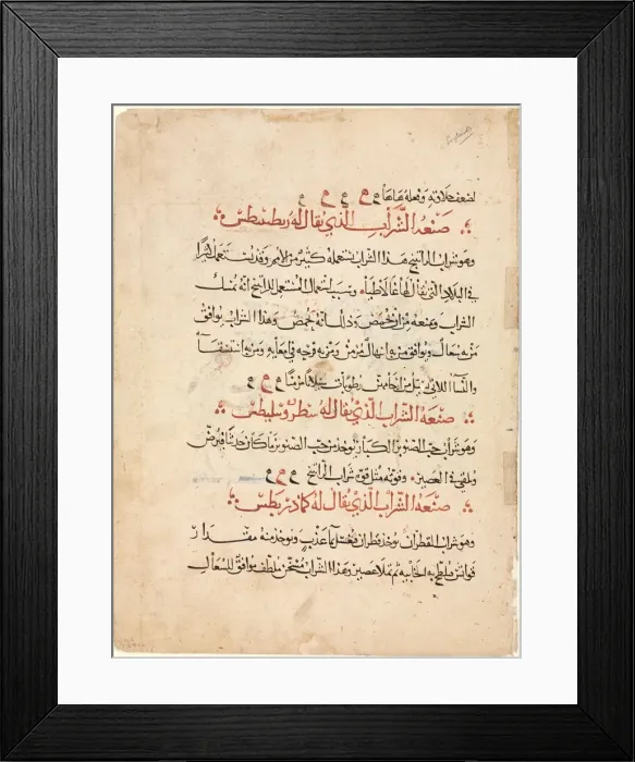 Framed Print : Text page from a Materia Medica of Dioscorides, c. 1224. Creator: Abdallah ibn al-Fadl (Iraq) Framed Print : Text page from a Materia Medica of Dioscorides, c. 1224. Creator: Abdallah ibn al-Fadl (Iraq)