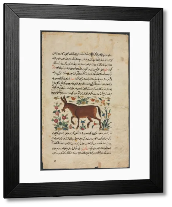 Framed Print : Text Page, Persian Prose (Recto); Khar (Ass) (Verso), 1400s. Creator: Unknown Framed Print : Text Page, Persian Prose (Recto); Khar (Ass) (Verso), 1400s. Creator: Unknown