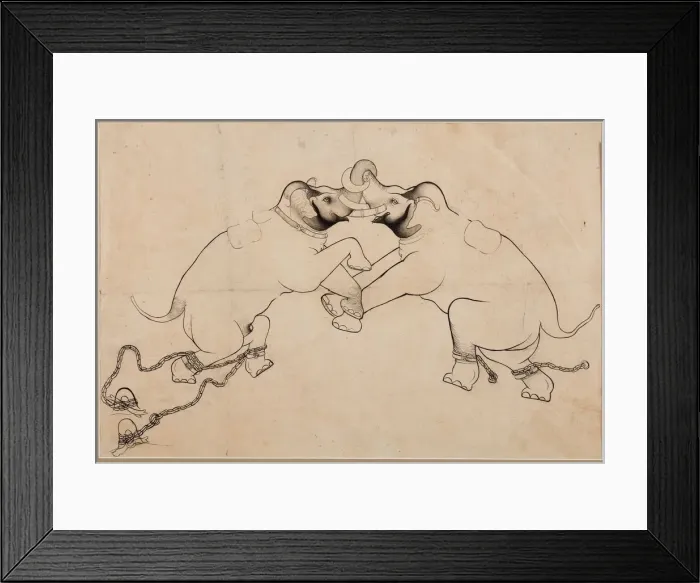 Framed Print : Two Elephants in Combat, early 1700s. Creator: Unknown Framed Print : Two Elephants in Combat, early 1700s. Creator: Unknown