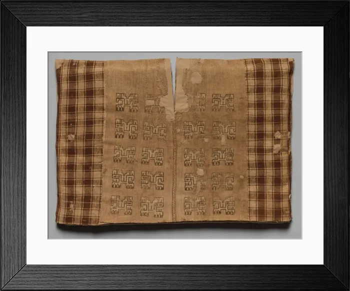 Framed Print : Tunic with Profile Animals and Checkerboards, 700 BC-AD 650. Creator: Unknown Framed Print : Tunic with Profile Animals and Checkerboards, 700 BC-AD 650. Creator: Unknown
