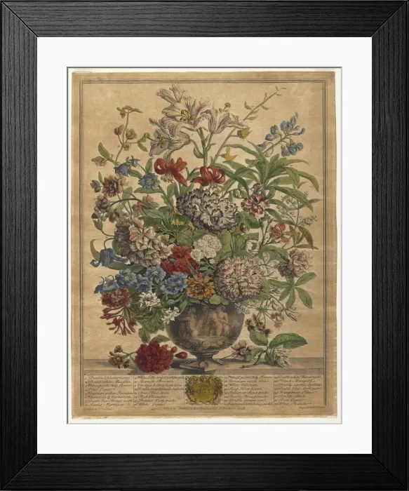Framed Print : Twelve Months of Flowers: July, 1730. Creator: Henry Fletcher (British, active 1715-38)
