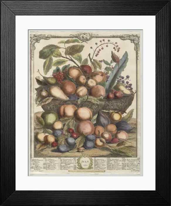 Framed Print : Twelve Months of Fruit: July, 1732. Creator: Henry Fletcher (British, active 1715-38) Framed Print : Twelve Months of Fruit: July, 1732. Creator: Henry Fletcher (British, active 1715-38)