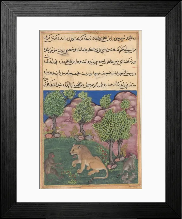 Framed Print : Tuti-Nama (Tales of a Parrot): Tale XXVIII: The Monkey Advises the Suspicious Lion Framed Print : Tuti-Nama (Tales of a Parrot): Tale XXVIII: The Monkey Advises the Suspicious Lion