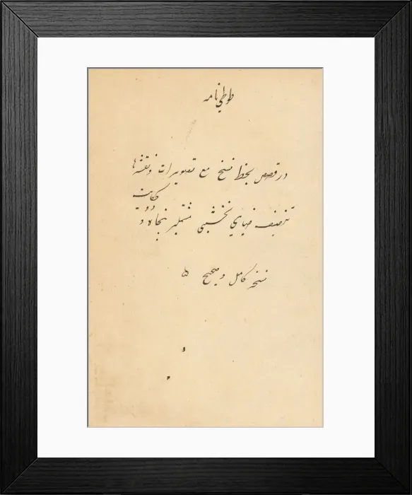 Framed Print : Tuti-Nama (Tales of a Parrot), c. 1560. Creator: Unknown Framed Print : Tuti-Nama (Tales of a Parrot), c. 1560. Creator: Unknown
