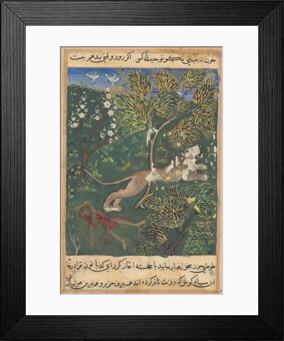 Framed Print : Tuti-Nama (Tales of a Parrot): Tale XXIX, c. 1560. Creator: Unknown Framed Print : Tuti-Nama (Tales of a Parrot): Tale XXIX, c. 1560. Creator: Unknown