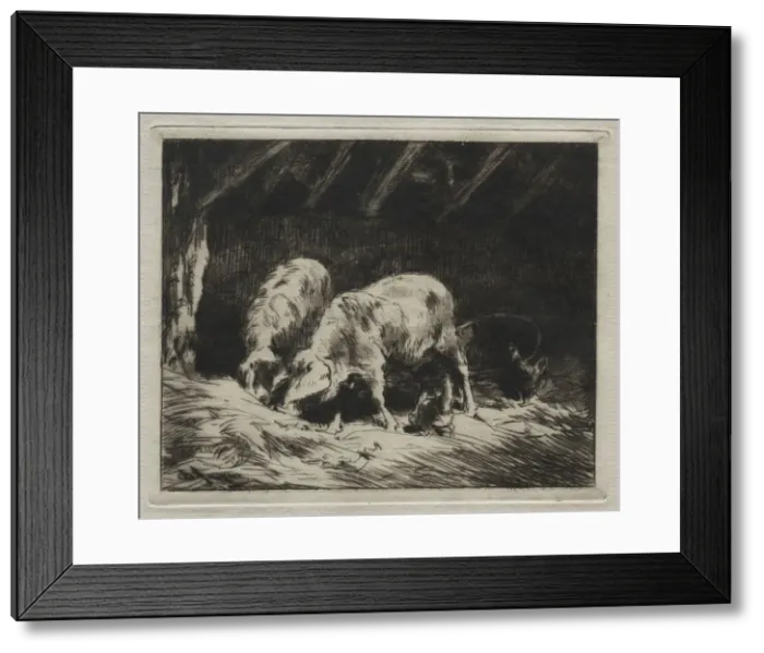 Framed Print : Two Porcs. Creator: Charles-Emile Jacque (French, 1813-1894) Framed Print : Two Porcs. Creator: Charles-Emile Jacque (French, 1813-1894)
