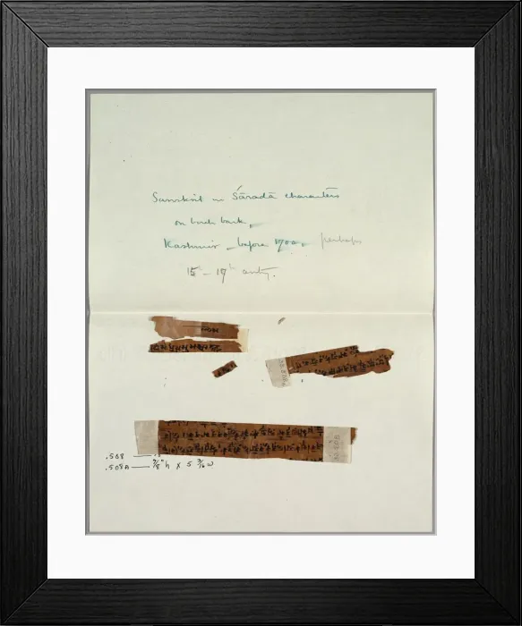 Framed Print : Two Fragments of Bark with Sanskrit, before 1700. Creator: Unknown Framed Print : Two Fragments of Bark with Sanskrit, before 1700. Creator: Unknown