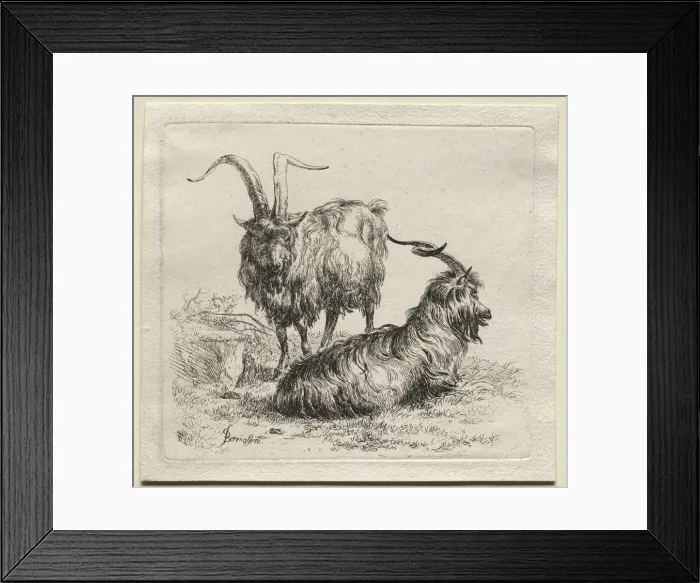Framed Print : Two Goats. Creator: Nicolaes Berchem (Dutch, 1620-1683) Framed Print : Two Goats. Creator: Nicolaes Berchem (Dutch, 1620-1683)