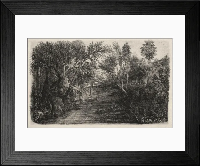 Framed Print : The Stream, 1880. Creator: Rodolphe Bresdin (French, 1822-1885) Framed Print : The Stream, 1880. Creator: Rodolphe Bresdin (French, 1822-1885)
