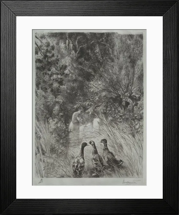 Framed Print : The Surprised Ducks. Creator: Felix Bracquemond (French, 1833-1914) Framed Print : The Surprised Ducks. Creator: Felix Bracquemond (French, 1833-1914)