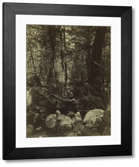 Framed Print : The Trail in West Gallatin Canon, c. 1870s. Creator: William Henry Jackson (American Framed Print : The Trail in West Gallatin Canon, c. 1870s. Creator: William Henry Jackson (American