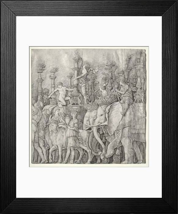 Framed Print : The Triumphs of Caesar: The Elephants, c. 1485-1490. Creator: Giulio Campagnola (Italian Framed Print : The Triumphs of Caesar: The Elephants, c. 1485-1490. Creator: Giulio Campagnola (Italian