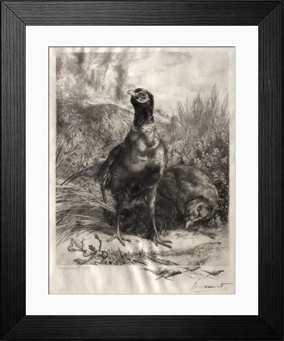 Framed Print : The Pheasants, 1899. Creator: Felix Bracquemond (French, 1833-1914) Framed Print : The Pheasants, 1899. Creator: Felix Bracquemond (French, 1833-1914)