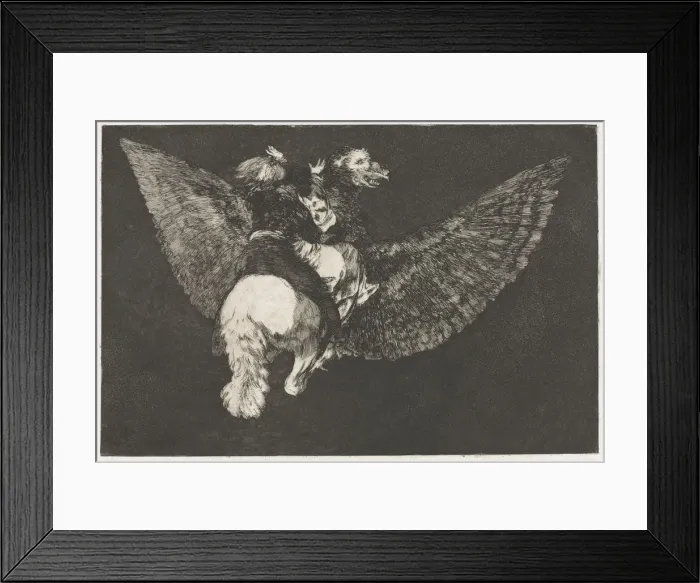 Framed Print : The Proverbs: Flying Folly, 1864. Creator: Francisco de Goya (Spanish, 1746-1828) Framed Print : The Proverbs: Flying Folly, 1864. Creator: Francisco de Goya (Spanish, 1746-1828)
