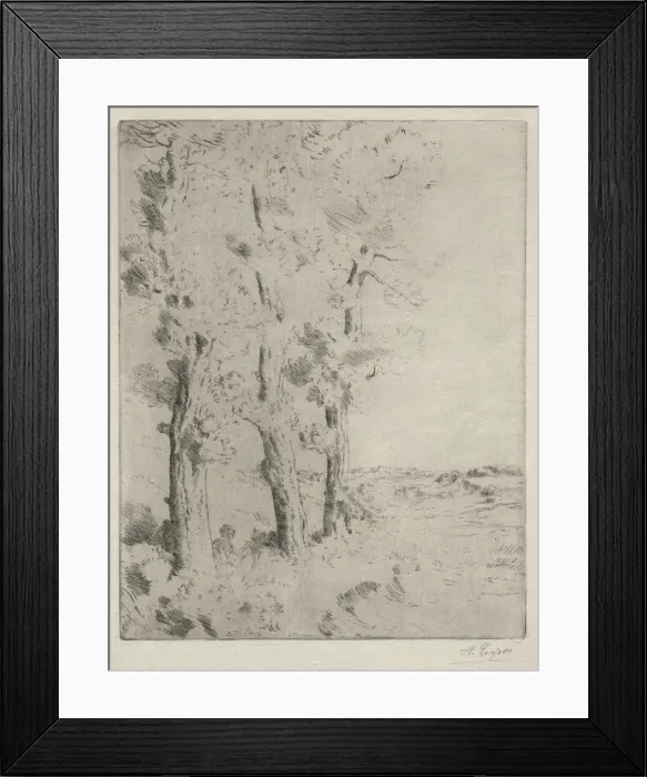 Framed Print : The Reader: The Lecture under the Trees, c. 1882. Creator: Alphonse Legros (French, 1837-1911) Framed Print : The Reader: The Lecture under the Trees, c. 1882. Creator: Alphonse Legros (French, 1837-1911)