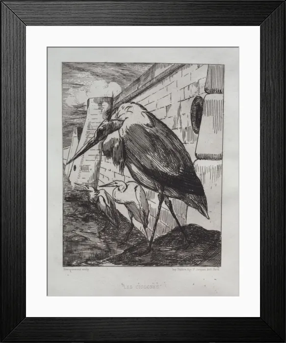Framed Print : The Storks, 1865. Creator: Felix Bracquemond (French, 1833-1914);Cadart & Luquet, Paris Framed Print : The Storks, 1865. Creator: Felix Bracquemond (French, 1833-1914);Cadart & Luquet, Paris