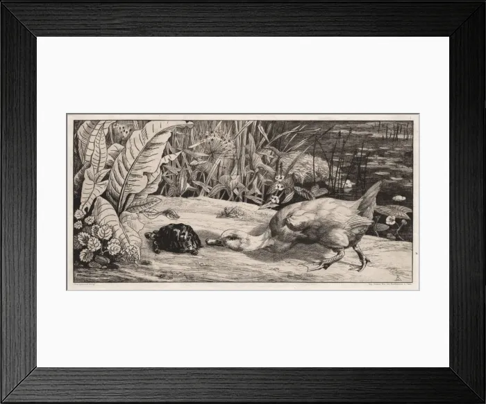Framed Print : The Unknown, 1862. Creator: Felix Bracquemond (French, 1833-1914);A. Cadart & F Framed Print : The Unknown, 1862. Creator: Felix Bracquemond (French, 1833-1914);A. Cadart & F