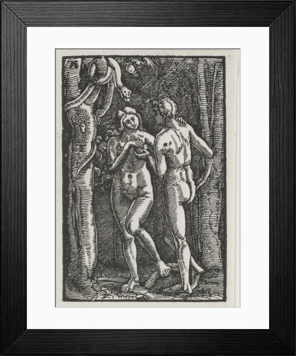 Framed Print : The Fall and Redemption of Man: Adam and Eve Eating the Forbidden Fruit, c. 1513. Creator Framed Print : The Fall and Redemption of Man: Adam and Eve Eating the Forbidden Fruit, c. 1513. Creator