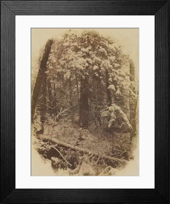 Framed Print : Untitled (Woods in Snow), 1859. Creator: William James Stillman (American, 1828-1901); J Framed Print : Untitled (Woods in Snow), 1859. Creator: William James Stillman (American, 1828-1901); J
