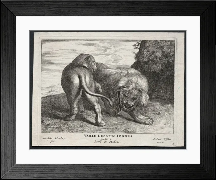 Framed Print : Various Lions. Creator: Abraham Blooteling (Dutch, 1640-1690)
