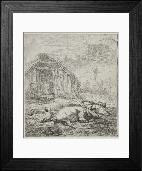 Framed Print : Three Swine Lying in Front of a Sty. Creator: Karel Dujardin (Dutch, c. 1622-1678) Framed Print : Three Swine Lying in Front of a Sty. Creator: Karel Dujardin (Dutch, c. 1622-1678)