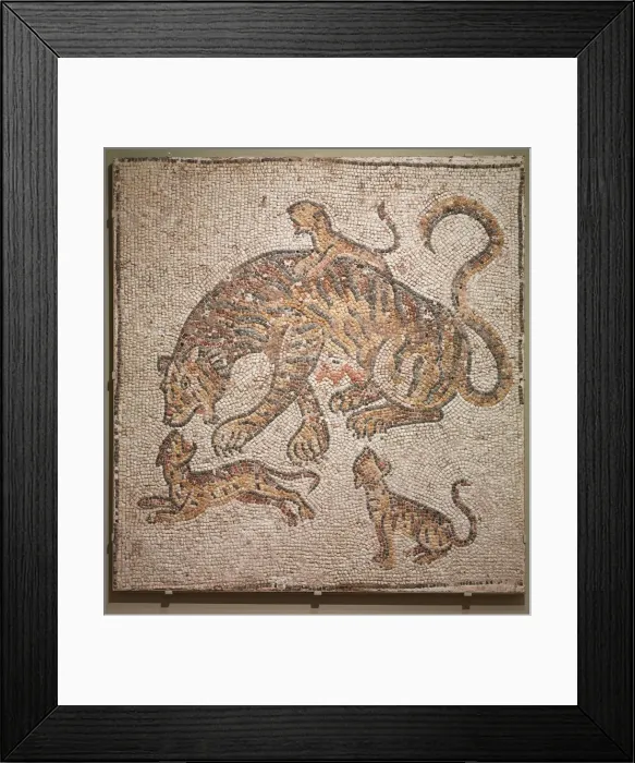 Framed Print : Tigress and Cubs, 300s. Creator: Unknown Framed Print : Tigress and Cubs, 300s. Creator: Unknown