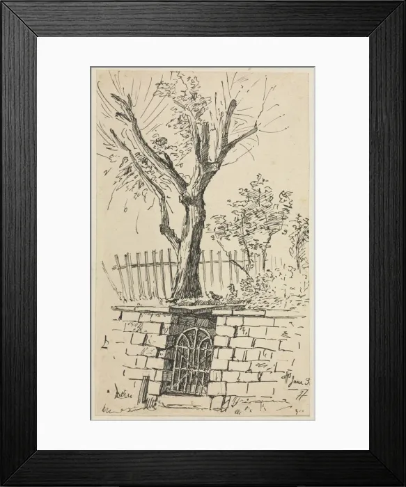 Framed Print : Tree on Top of a Stone Wall, Cleveland. Creator: Otto H. Bacher (American, 1856-1909) Framed Print : Tree on Top of a Stone Wall, Cleveland. Creator: Otto H. Bacher (American, 1856-1909)